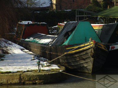 Petrel in Shardlow 09. Photo JN Deuchar