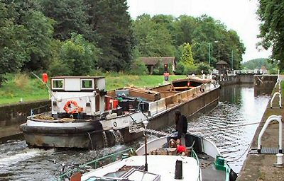 Seagull - photo by G MacKenzie