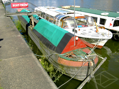 bristol120907greenshankPICT0901