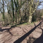 Portway2a-BramcoteKingsPark-IMG_20250318_135514.jpg