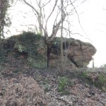 StaplefordBobsRock-IMG_20230128_121853.jpg