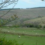 Portway09-PICT3731WoolerKnollFromNetherBooth.JPG