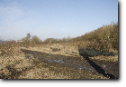Waste ground on the canal route immediately south of Langley Mill