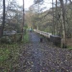 IMG_20211029_110721Uttoxeter-CrumpwoodRlyBridge.jpg
